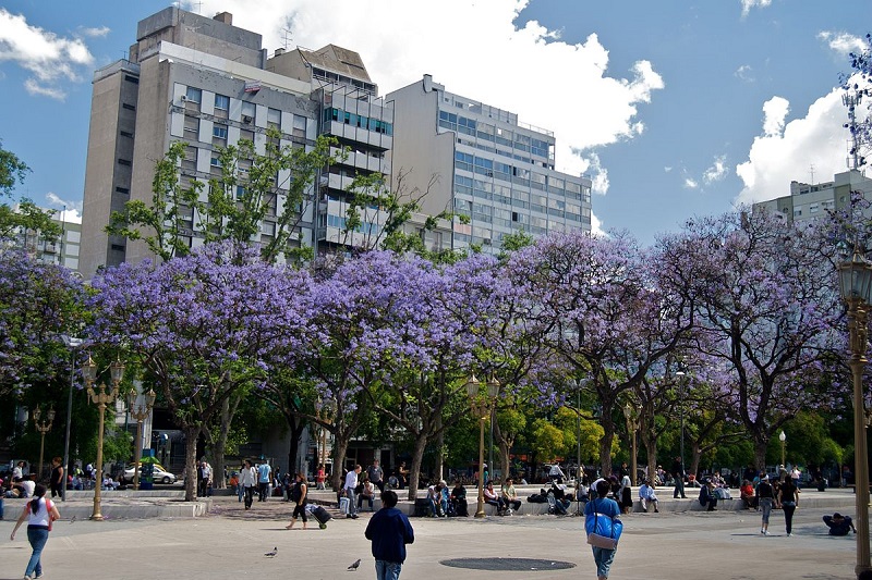 Beleza da primavera em Buenos Aires