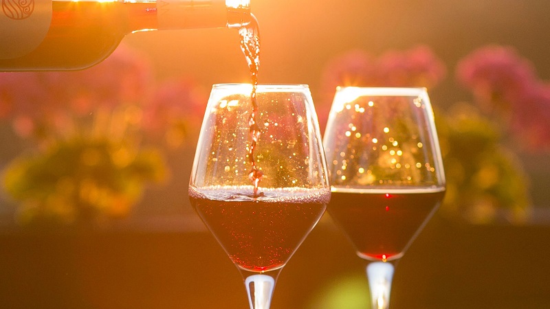 Degustação de vinho em vinícola