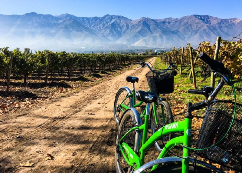 Passerio de bicicleta pelas vinícolas de Mendoza