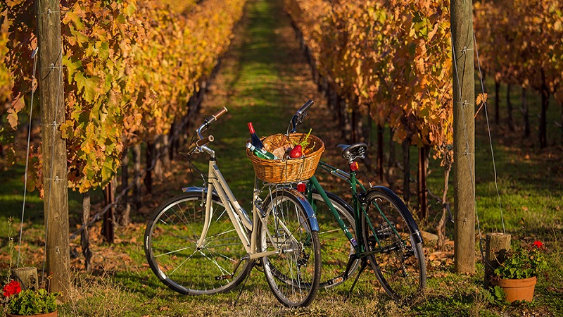 Passeio de bike nas vinícolas de Mendoza