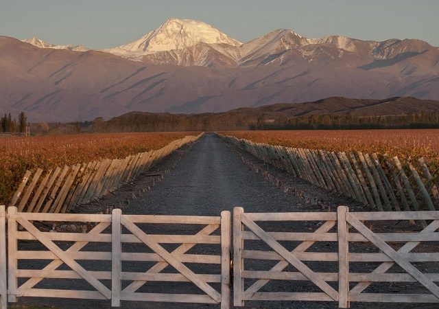 Top 10 vinícolas em Mendoza