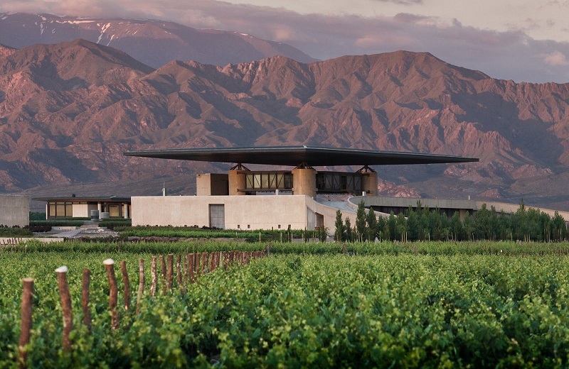 Tour do Malbec pela zona vitivinícola de Luján de Cuyo